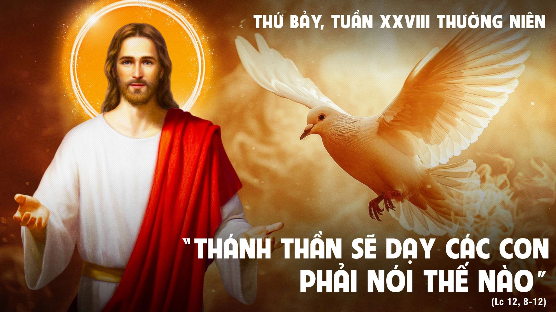 Thứ Bảy Tuần XXVIII Mùa Thường Niên - Năm C